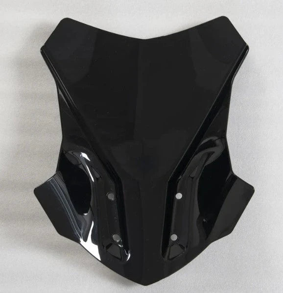 BMW G310 GS Windshield
